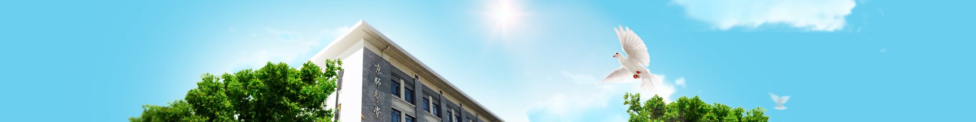 School of Systems 