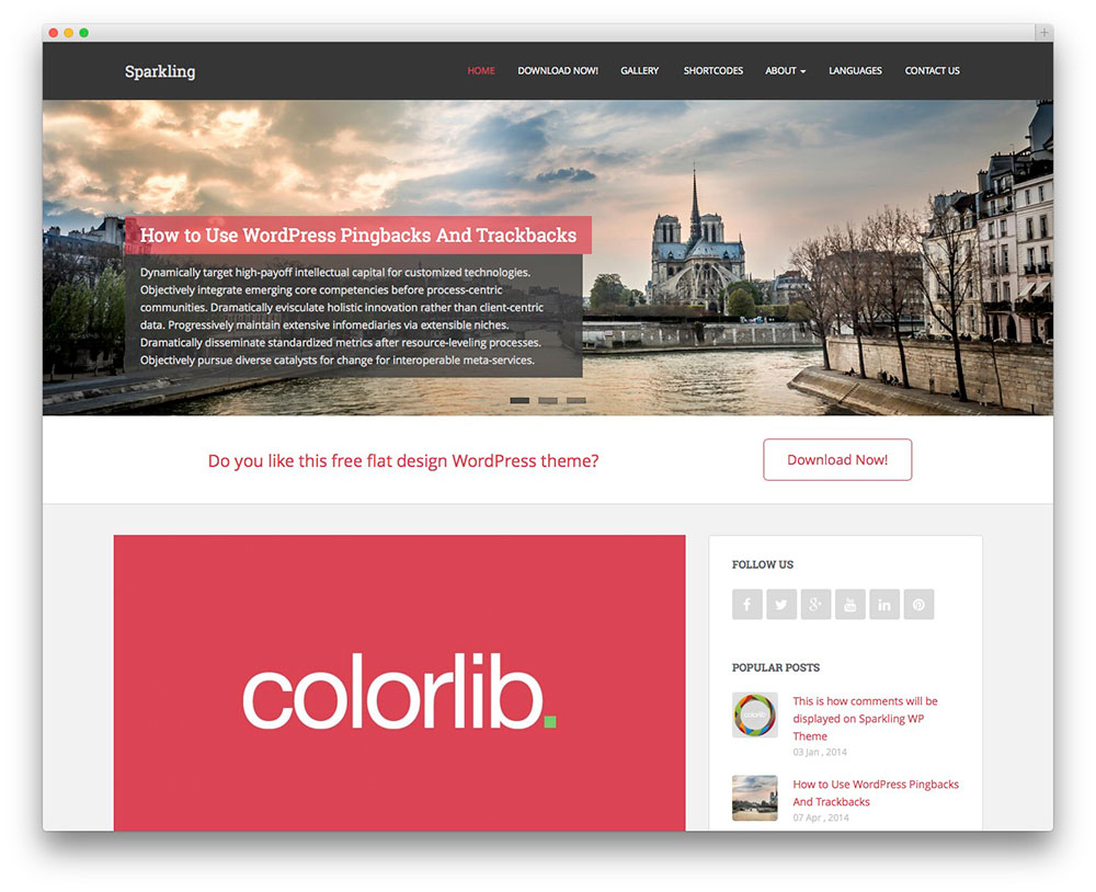 sparkling-best-free-WordPress-theme